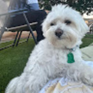 Meet your Posher, Sophy